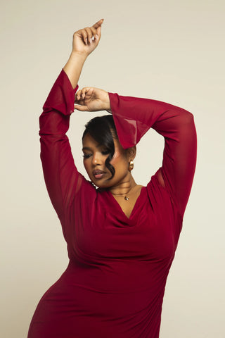 Curve Cowl neck burgundy mesh dress