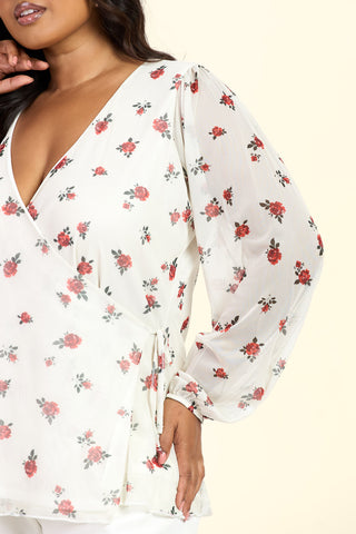 Curve Ditsy Print Wrap Balloon Sleeve Mesh Blouse