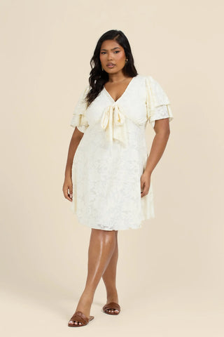 Curve Burn Out Floral Skater Dress
